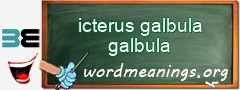 WordMeaning blackboard for icterus galbula galbula